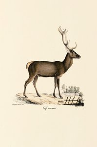  tekijältä Jacques Christophe Werner