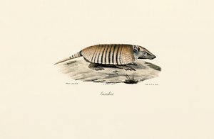  tekijältä Jacques Christophe Werner