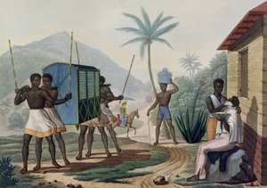 Palanquin, jota kuljetetaan Ile de Francessa, kirjasta "Voyage Autour du Monde sur les Corvettes de L