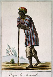 Senega Negro, värikaiverrus Encyclopedia des Voyagesista, kirjoittanut Jacques Grasset de Saint-Sauveur (1757-1810) tekijältä Jacques Grasset de Saint Sauveur