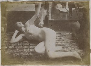 Estudi d