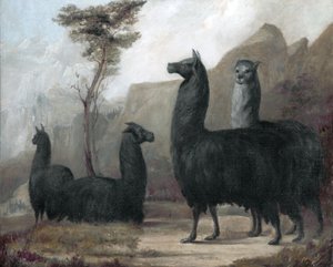 Alpakat tekijältä Jacques Laurent Agasse