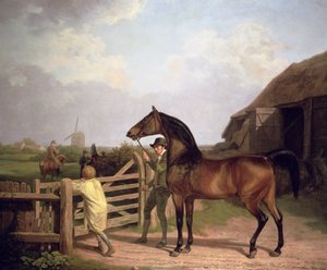 "Bay Ascham", ori, joka johti portin läpi tammalle, 1804