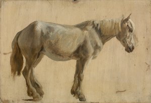 Harmaan hevosen tutkimus (öljy paperille) tekijältä Jacques Laurent Agasse