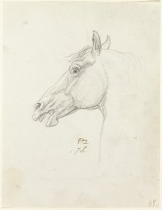 Hevosen pää tekijältä Jacques Louis David
