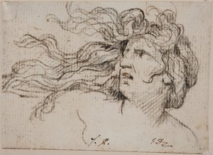 Naisen pää ja hulmuavat hiukset tekijältä Jacques Louis David