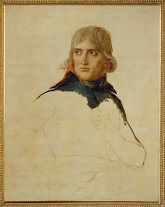 Napoleon Bonaparte ... tekijältä Jacques Louis David