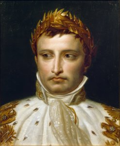 Napoleon I kruunajaisasuissaan tekijältä Jacques Louis David
