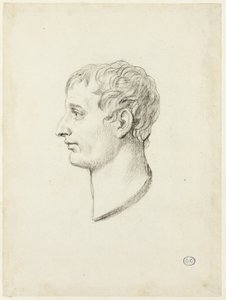 Napoleonin profiili tekijältä Jacques Louis David