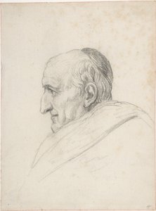 Kardinaali Pacca tekijältä Jacques Louis David