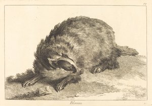 Blereau (Myyri)