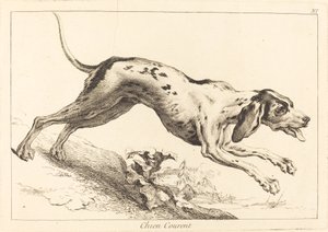Chien courent (juoksukoira)