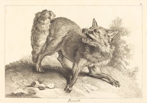 Renard (kettu)