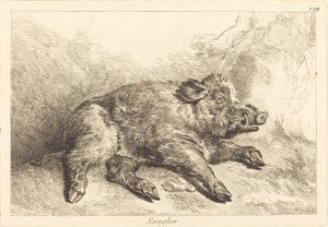 Sanglier (villisika makuulla, suunta oikealle)