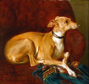 Greyhound lepää tuolilla. tekijältä Jacques Raymond Brascassat