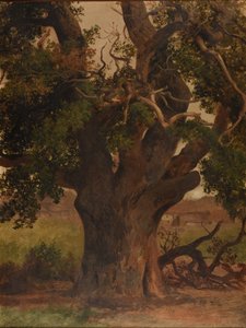 Le Vieux chêne (tutkimus) tekijältä Jacques Raymond Brascassat