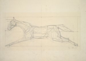 Jockey Series, nro 2 (hevonen sivulta katsottuna)