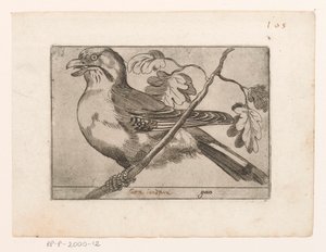Gaai Gaio (otsikko esineessä) Vogels (sarjan nimi) tekijältä Jacques de Fornazeris (possibly)