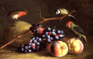 Kolme lintua persikoilla, viinirypäleillä ja melonilla