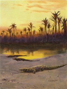 Krokotiili (auringonlasku) Ylä-Niilin rannalla (väri litho)