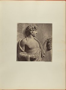 Antinous, Basreliefi Albanin kaupungista. tekijältä James Anderson