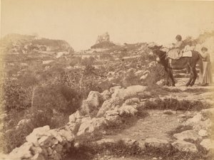 Capri [lapsi muulin selässä] tekijältä James Anderson