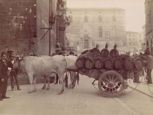 Vaunu härkien kanssa, Perugia, 1880-luku.