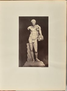 Belvederen Antinous. Vatikaani tekijältä James Anderson