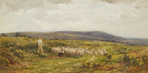 Herefordshire Common, 1860-1900.