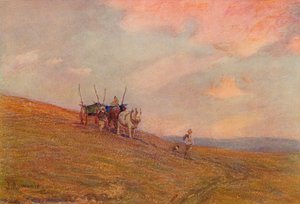 On the Downs Near Harting, c1870-1906, 1906.