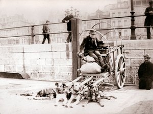 Mies koirakärryillä, Antwerpen, 1898. tekijältä James Batkin