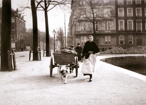 Nainen koirakärryillä, Rotterdam, 1898.