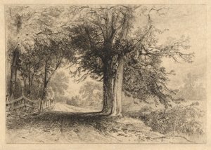 A Farm Lane, tammikuu 1887, Opus 2 tekijältä James David Smillie