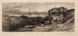 Marblehead Neckissä tekijältä James David Smillie