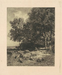Maisema lampaiden kanssa tekijältä James David Smillie, after Charles Émile Jacque