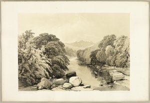 Ash, sycamore ja Oak, puistosta ja metsästä tekijältä James Duffield Harding