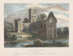 Buttevent Abbey tekijältä James Duffield Harding