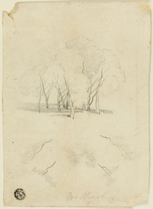 Puuryhmasto tekijältä James Duffield Harding