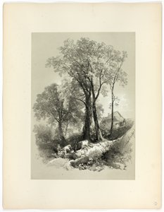 Shipley Bridge, Devon, Picturesque Selectionsilta tekijältä James Duffield Harding