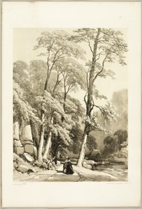 Sycamore, puistosta ja metsästä tekijältä James Duffield Harding