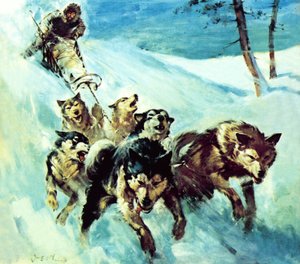 Kanadan husky tekijältä James Edwin McConnell
