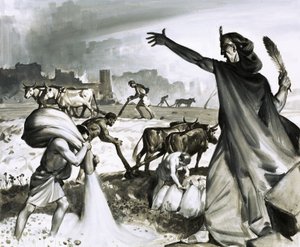 Karthagon nousu ja tuho: Rooman kirous Karthagossa tekijältä James Edwin McConnell