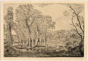 Poppeleiden ympäröimä lammikko tekijältä James Ensor