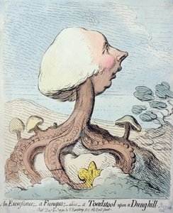 Excrescence; Sieni; Alias - Toadstool on a Dung-hill, julkaisija Hannah Humphrey vuonna 1791 (etsaus wc:llä)