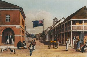 Kuvankaunis kierros Jamaikan saarella vuosien 1820 ja 1821 piirustuksista, 1820-21