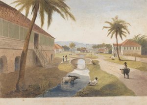 Holland Estate, St. Thomas in the East, Jamaika [yksi ]