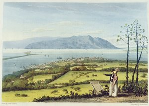 Kingston ja Port Royal Windsor Farmista, kuvasta "Maaluksellinen kiertue Jamaikan saarella", kaivertanut Thomas Sutherland, 1825