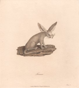 Fennec tekijältä James Heath