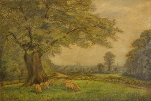 Coventryn tornit kaukaa katsottuna tekijältä James Henry Bambrick