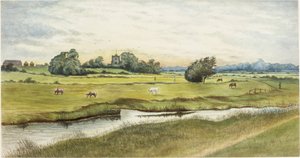 Ryton Meadows (akvarelli ja vartaloväri paperille)